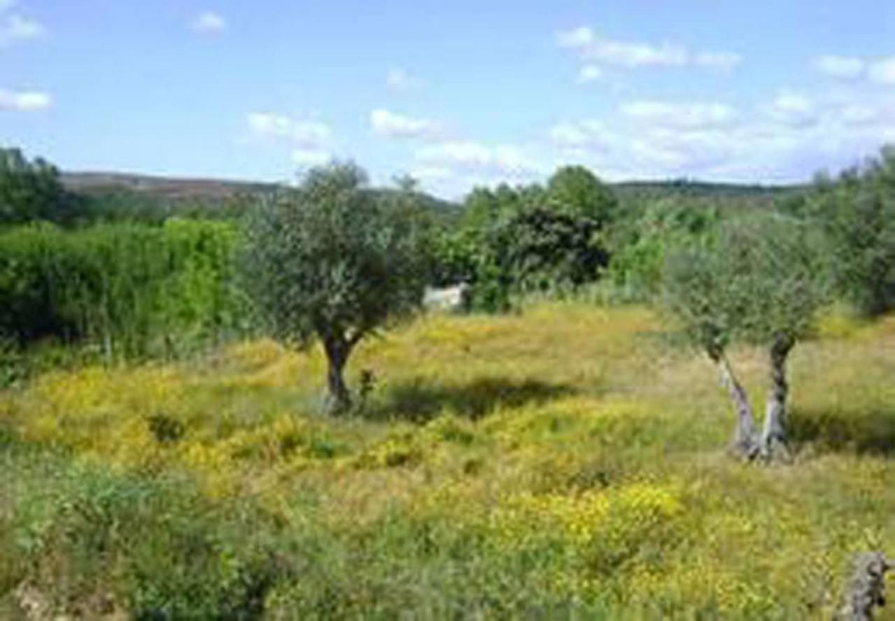 Villa Casa Rustica Arganil Esterno foto